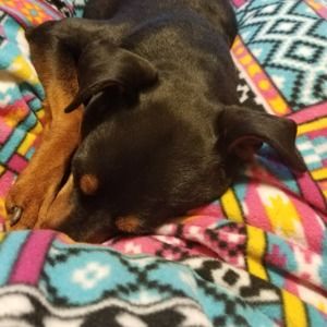 Meet your Posher, Lisa